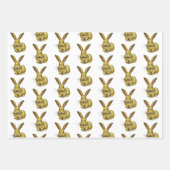 Jaar van het konijn-Chinees nieuwjaar dierentuin Inpakpapier Vel (Voorkant 3)