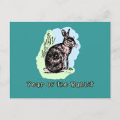 Jaar van het Konijn Pastel Tshirt, Mok, Kaart, Gif Feestdagenkaart (Voorkant)