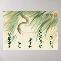 Jaar van het poster Snake