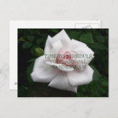 Jaarlijks mammogram briefkaart (Voorkant / Achterkant)