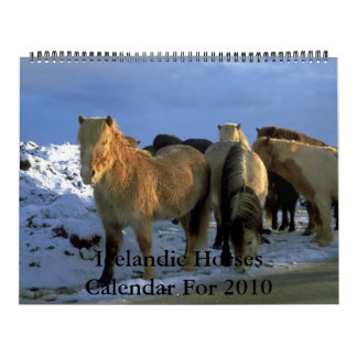 Jaarlijks thema IJslandse paarden 2010 Kalender
