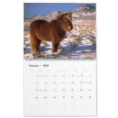 Jaarlijks thema IJslandse paarden 2010 Kalender (Feb 2026)