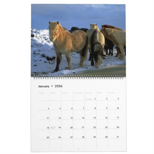 Jaarlijks thema IJslandse paarden 2010 Kalender (Jan 2026)