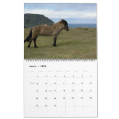 Jaarlijks thema IJslandse paarden 2010 Kalender (Mar 2026)