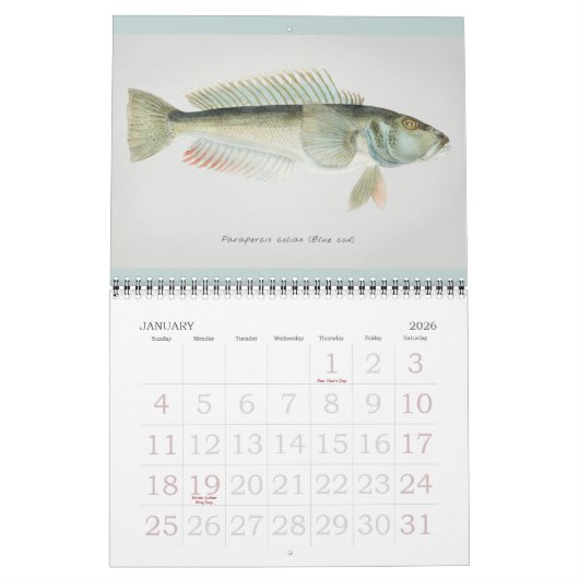 Jaarlijks  viskunst kalender (Jan 2026)