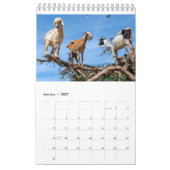 Jaarlijkse agenda 2018 voor geiten kalender (Jan 2027)