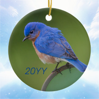 Jaarlijkse Bluebird Kerstmis Keramisch Ornament