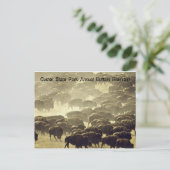 Jaarlijkse buffalo Roundup in Custer State Park Briefkaart (Staand voorkant)