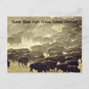 Jaarlijkse buffalo Roundup in Custer State Park Briefkaart