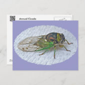 Jaarlijkse Cicada-coördinatieposten Briefkaart (Voorkant / Achterkant)