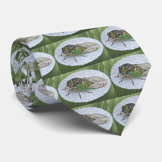 Jaarlijkse Cicada-coördinatieposten Stropdas (Opgerold)