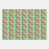 Jaarlijkse kerstfoto inpakpapier vel (Voorkant)