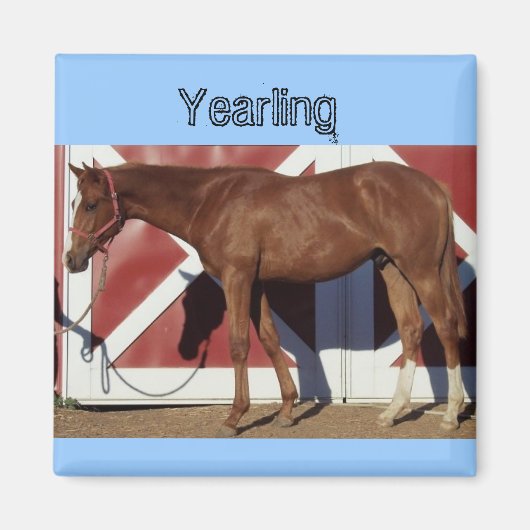 Jaarlijkse magneet (Voorkant)