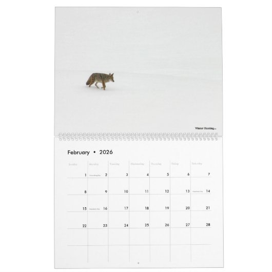 Jaarlijkse Natuur 2020 en kalender in het wild... (Feb 2026)