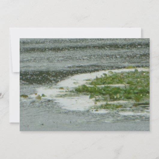 Jaarlijkse partij op het meer Invite Kaart (Achterkant)