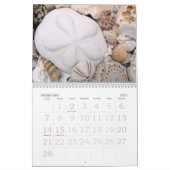 Jaarlijkse schelp fotografie kalender (Feb 2027)