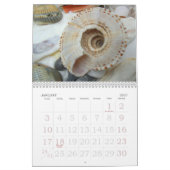 Jaarlijkse schelp fotografie kalender (Jan 2027)
