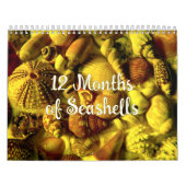 Jaarlijkse schelp fotografie kalender (Hoes)