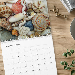 Jaarlijkse schelp fotografie kalender