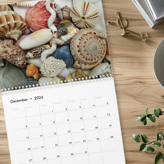 Jaarlijkse schelp fotografie kalender