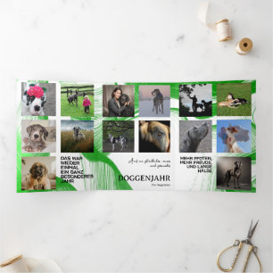 Jaaroverzicht Foto's Kaart