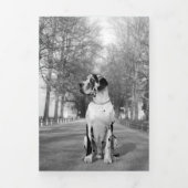 Jaaroverzicht Foto's Kaart (Cover)