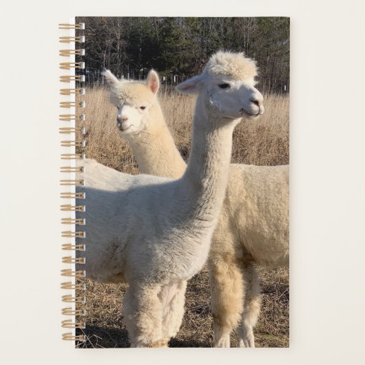 Jaarplanner - Alpakka's Planner (Voorkant)