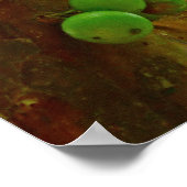 Jaboticaba Tree Poster (Hoek)