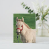 Jac Briefkaart (Staand voorkant)