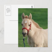 Jac Briefkaart (Voorkant / Achterkant)