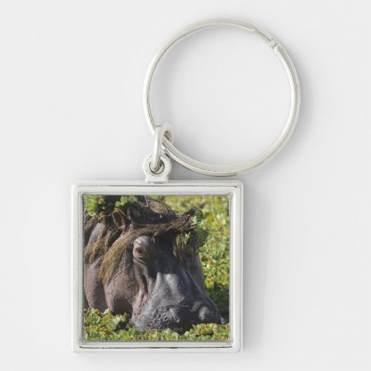 Jacana staat op de hippo's (Hippopotamus) Sleutelhanger (Voorkant)