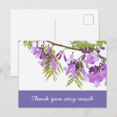 Jacaranda bloemen in bloeiende bloemen paars briefkaart (Voorkant / Achterkant)
