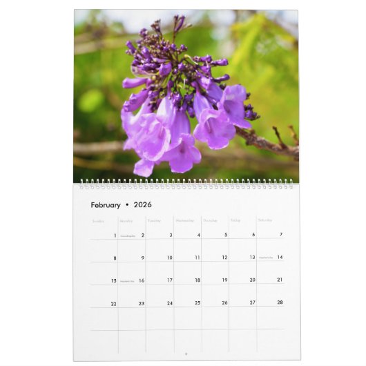 Jacaranda Bloemenkalender Kalender (Feb 2026)