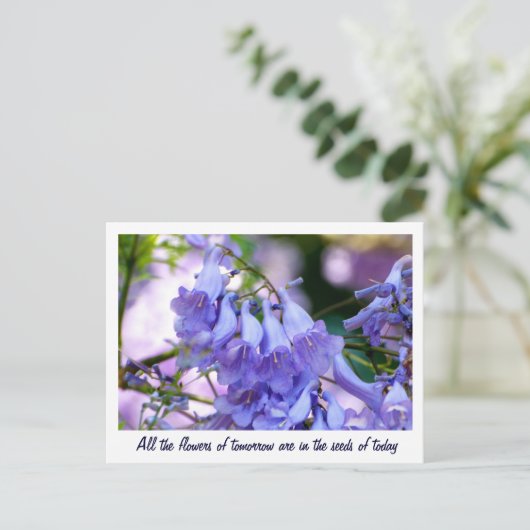 Jacaranda Blossom Briefkaart (Staand voorkant)