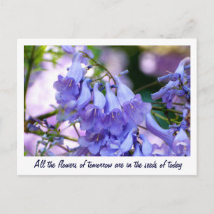 Jacaranda Blossom Briefkaart
