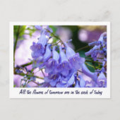 Jacaranda Blossom Briefkaart (Voorkant)