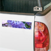 Jacaranda Blossom Bumpersticker (Op Truck)