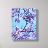 Jacaranda Blossom Canvas Afdruk (Voorkant)