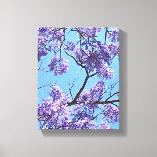 Jacaranda Blossom Canvas Afdruk