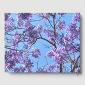 Jacaranda Blossom Gastenboek (Achterkant)