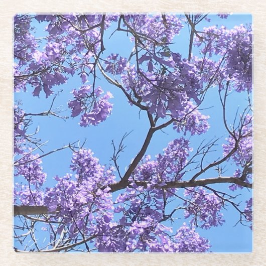 Jacaranda Blossom Glazen Onderzetter (Voorkant)