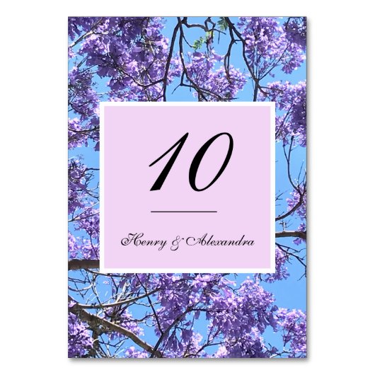 Jacaranda Blossom Kaart (Voorkant)