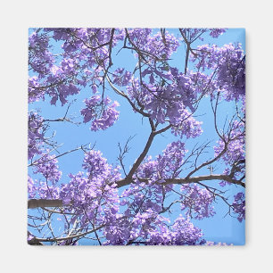 Jacaranda Blossom Magneet