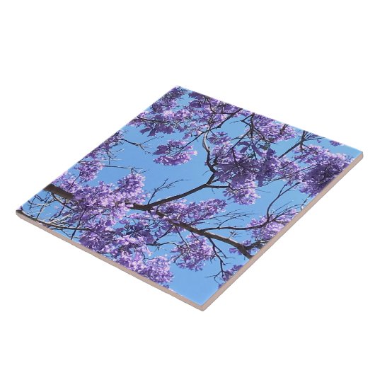 Jacaranda Blossom Tegeltje (Zijkant)