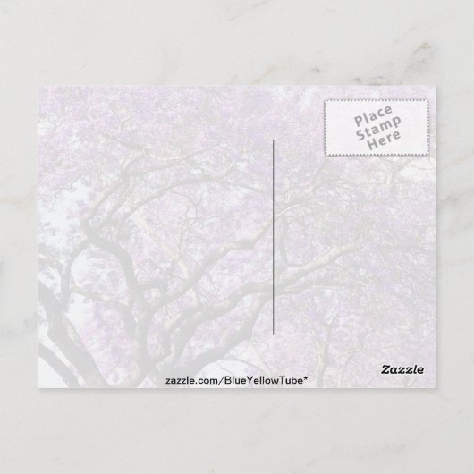 Jacaranda-boom in bloemen in het voorjaar briefkaart (Achterkant)