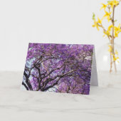 Jacaranda-boom in bloemen in het voorjaar kaart (Gele Bloem)