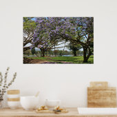 Jacaranda in Bloom Poster (Keuken)