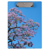 Jacaranda Klembord (Voorkant)