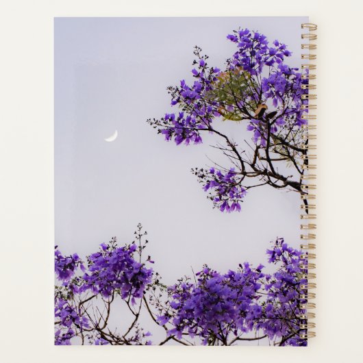 Jacaranda luchtplanner planner (Achterkant)
