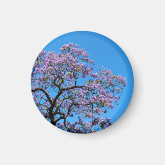 Jacaranda Magneet